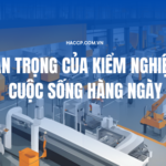 Hình ảnh mô tả quy trình đánh giá chất lượng